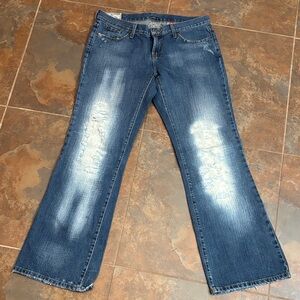 Stetson Distressed Blue Flare Jeans